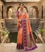 Wedding Pure Silk Saree (Terracotta)